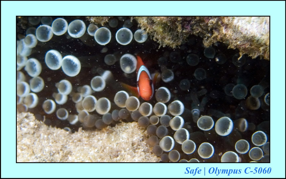 2006 - 07 - Gemia - Plongee solo 12